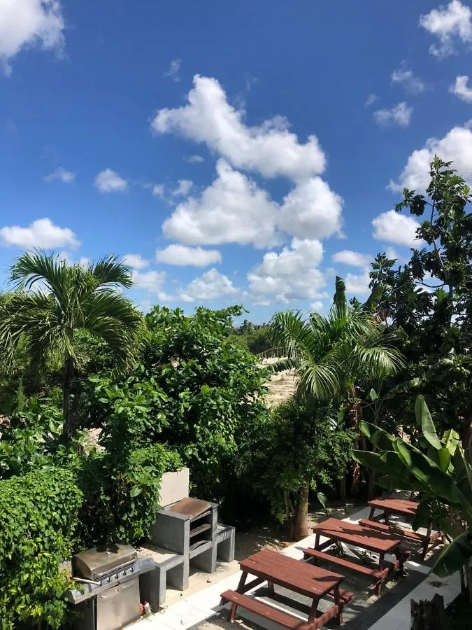 Sol Caribe Suites Los Corales Beach プンタ・カナ ホテル